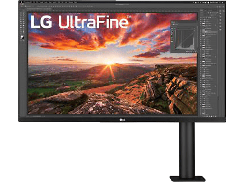 LG 4K Ergo Monitor